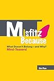 MISFITZ BECAUSE: What Doesn't Belong—and Why? Mind-Teasers!: Second Edition (2018)