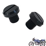 generic 2PCS motorcycle mirror plugs Compatible with Honda XBR500,Motorcycle rearview mirror plug blind plug tuning accessories(black)