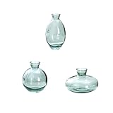 3Pcs Glass Vase Hydroponic Flower Plant Plants Desktop Plant Propagation Glass Propagation Station Clear Vase Set for Hydroponics Plants Home Garden Wedding (Turquoise)