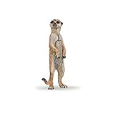 Papo - Meerkat Figurine - Wild Animal Toy for Kids Age 3+ - Hand-Painted Standing Sentinel Model - Realistic Savannah Animal - Educational Wildlife Figure - 5 x 2 x 7 cm - 50206