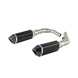 For Honda CBF 1000 2006 2007 2008 2009 2010 CBF1000 Motorcycle Exhaust With Link Pipe (C)