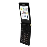 Plum Flipper 4G LTE Unlocked Flip Phone - Large Screen, Wear Resistant Shaft, Prominent Buttons, One Touch Dial, Clear Sound Quality, Photographic Camera (Tarnish)