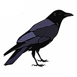 13cmx10.9cm for Raven Vinyl Car Stickers Air Conditioner Motorcycle Helmet Snowboard Laptop