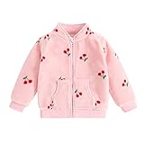 Toddler Fleece Jacket Baby Boys Full-Zip Long Sleeve Fuzzy Jacket Thick Warm Outerwear Cute Coat Girl Winer Clothes Snow Jackets for Girls (Pink, 2-3 Years)
