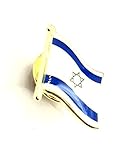 Israel Israeli Metal Enamel Country Flag Pin Badge