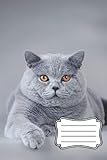 British shorthai cat composition notebook for kids, teens, students and cat lovers: British blue cat journal with plenty of lined, blank pages to provide space for creative self-expression