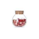 Danmu Art Round Glass Jars Glass Favor Jar Terrarium Food Storage Container with Cork Stoppers for Cookie Candy Spice Tea Cereal 500ML