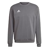 adidas Men's Entrada 22 Sweatshirt, Team Grey Four, M