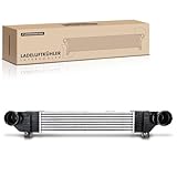 Frankberg Intercooler Compatible with S-Class W220 S320 CDI 2000-2005 Replace# 2205000000