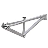 DHNCBGFZ Dirt Jump Bike Frame 26" Mountain Bikes Hardtail Frame Aluminum Alloy Disc Brake Frames Thru-Axle Boost 12 * 148mm Internal Routing(Light Grey)