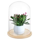 LOPYXBR Glass Domes for Display, 30cm/11.8Inch Tall Glass Dome with Wooden Base, Clear Glasses Bell Jar Diameter 20cm/7.8inch, Glasses Cloche for Display Case for Flower, Collection, Toy