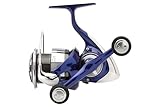 Daiwa 24 TDR 3012 QD DH (Double Handle) Reel - 24TDR3012QD-DH