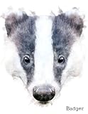 Badger: Notebook, 120 blank lined pages, 8.5 by 11