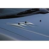 RGM Bonnet air-intakes compatible with Peugeot 206 (replaces the original intakes)