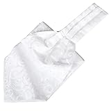 Beaface Men's Cravats Self Tie, Cravat Ties for Men Paisley Floral Jacquard Woven Ascot Tie Wedding Business Party Casual (White)