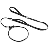 Slip Lead for Dogs Leash with Comfy Handle Adjustable Collar Thin Dog Lead Strong Sturdy Anti-Pull Anti-Choking Nylon Training Rope for Outdoor Puppy Small Medium Large Dogs (Black)