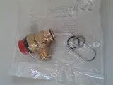 Worcester Bosch Pressure Relief Valve 87161424040