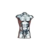 Naked Male Torso Figurine, Erotic Torso Miniature, Handmade in Fine Pewter by William Sturt