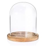 SUMNACON Glass Display Cloche Dome with Vintage Wooden Base, Decorative Clear Display Bell Jar Glass Cover Dome Cloche Showcase for Plant, Collection, Toy, Crystal
