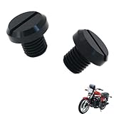 2PCS motorcycle mirror plugs, Compatible with Kawasaki Z1100,Motorcycle rearview mirror plug blind plug tuning accessories
