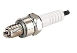 NGK Spark Plug for 50 70 90 110 125 140 150 160 cc Pit Bike Stomp Demon X (AT7C)