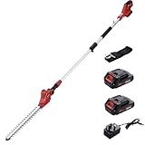 20V Cordless Pole Hedge Trimmer, 2.42M Long Reach Hedge Cutter with 2 Batteries, Fast Charge