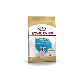 ROYAL CANIN Dog Food French Bulldog Puppy 3 Kg