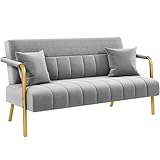 Yaheetech 2 Seater Modern Sofa Velvet Fabric Loveseat with Gold-tone Metal Arms and Legs for Bedroom, Home Office, Studio, Living Room Furniture Light Gray
