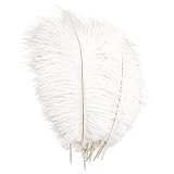 YuZhou 10 PCS Natural Ostrich Feathers, 20-25cm/7.9-9.8inch Wedding Feathers Plume Feather Party Table Feathers Dyed Ostrich Feathers White Feathers Feathers for Centerpieces for Home Wedding Party