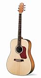 Walden Guitars W-D550-W Acoustic Guitar, Natural glossy