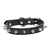 Studded Spiked Dog Collar in Black PU Leather for Small Dogs & Puppies, Adjustable Pet Collar with Metal Spikes for Style & Bite Protection