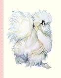 White Silky Chinese Bantam Chicken Notebook for Silkie Hen Lovers: Journal for Tracking Your Backyard Chicken Coop Gift for Women Kids and Men