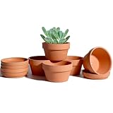 9.4 CM Terracotta Shallow Succulent Pot - 6 Pack Terra Cotta Clay Pots with Saucer, Cacuts Terra-Cotta Indoor and Outdoor Planters with Drainage Hole