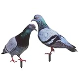 2Pcs Lifelike Pigeons Garden Stake Decoration, Acrylic Animal Sculpture for Yard, Lawn, Outdoor Decor, Double-Sided Uv Printed, 9.17 * 0.12 * 11.42 Inches