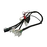Gnyduw Wiring Loom Harness for Honda Replica Z50 Mini Trial Monkey Bike Parts