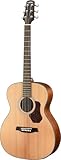 Walden WAO550EW Natura 500 Electro Acoustic Guitar