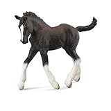CollectA Shire Horse foal - Black