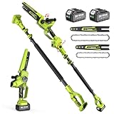 Supstable 2-in-1 Cordless Pole Saw & Mini Chainsaw, Electric Chain Saws 8 Inch & 6 Inch with Auto Oiler, 2 x 4.0Ah Batteries, Tree Trimmer Limb Branch Cutter Pruner with Extension Rod Up to 10FT