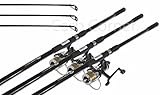 ngt Carp Fishing Setup 3x 12ft 2 Piece Carp Rods 2.75lb & 3x Baitrunner Reels Pre loaded With Line