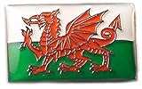 Mainly Metal Enamel Pin Badge Wales Dragon Welsh Flag Saint David Baner Cymru