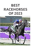 Best Racehorses of 2023