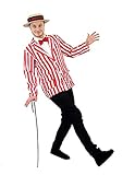 I Love Fancy Dress ILFD4012L Men's Striped Blazer (Large)