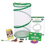 Insect Lore Giant Butterfly Garden Kit (Packaging May Vary)