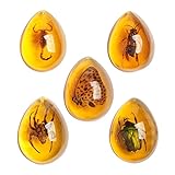 Acxico 5pcs Amber Fossil with Insects Samples Stones Crystal Specimens Home Decorations Collection Oval Pendant (Green Armor + Scorpion + Flower Butterfly + Wasp + Spider)
