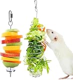 Jevnd 2Pcs Rat Enrichment Toys, 304 Stainless Steel Rat Foraging Toy for Fruit Vegetable Holder, Fancy Mice Cage Accessories Puzzle Toy, Hanging Rodent Toys Slow Feeder, Bird Foraging for Parakeet