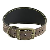 Ancol Timberwolf Leather Greyhound Dog Collar in Sable - Top Grain Bridle Leather Comfortable Durable Pet Training Accessory - 34-43cm