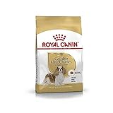 Royal Canin Cavalier King Charles Adult Dry Dog Food 1.5kg (Pack of 2)
