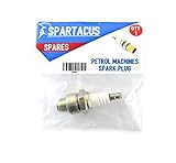 Spartacus 2/4 Stroke Spark Plug Fits Lodge Lodge BAN