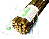 Living Willow Cuttings, Premium Quality, Setts Garden Hedge Screening Basketry Biomass, Very Fast Growing, Easy No-Dig Planting (25, 10inch / 25cm)