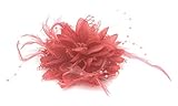 Flower Feather Bead Corsage Hair Clips Fascinator Hairband and Pin (Coral)